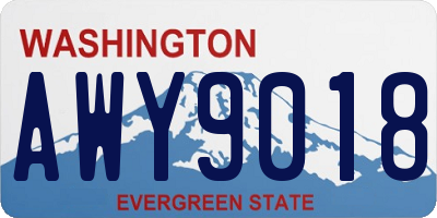 WA license plate AWY9018