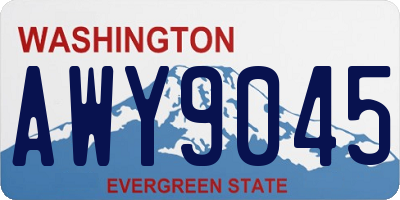 WA license plate AWY9045