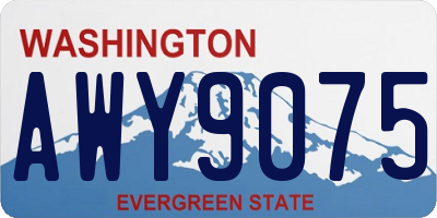 WA license plate AWY9075