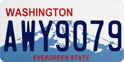WA license plate AWY9079