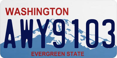 WA license plate AWY9103