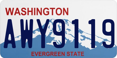 WA license plate AWY9119