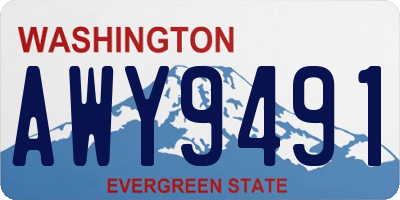 WA license plate AWY9491