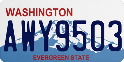 WA license plate AWY9503