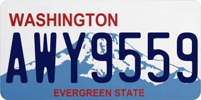 WA license plate AWY9559