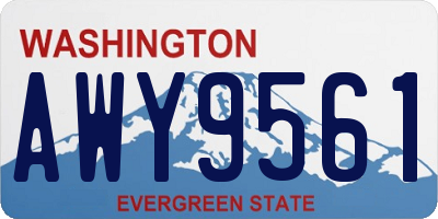 WA license plate AWY9561