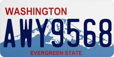 WA license plate AWY9568