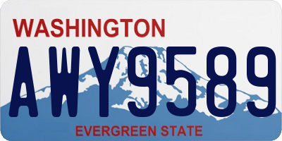 WA license plate AWY9589