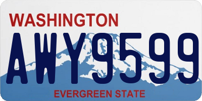 WA license plate AWY9599