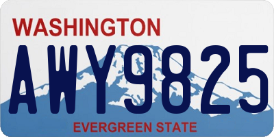 WA license plate AWY9825