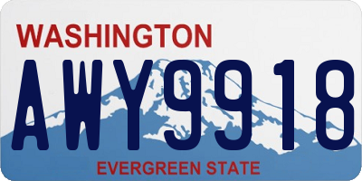 WA license plate AWY9918