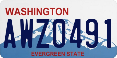 WA license plate AWZ0491