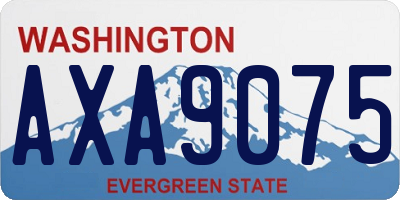 WA license plate AXA9075