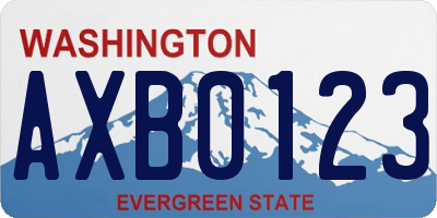 WA license plate AXB0123