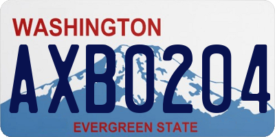 WA license plate AXB0204