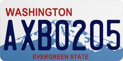 WA license plate AXB0205