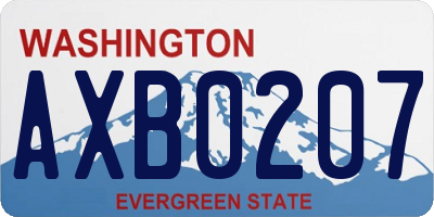 WA license plate AXB0207
