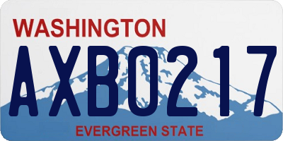 WA license plate AXB0217