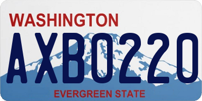 WA license plate AXB0220