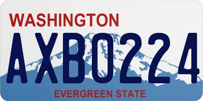 WA license plate AXB0224