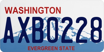 WA license plate AXB0228