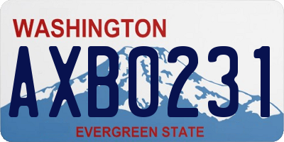 WA license plate AXB0231