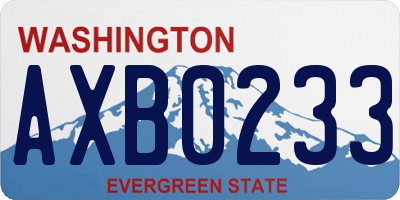 WA license plate AXB0233