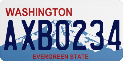 WA license plate AXB0234