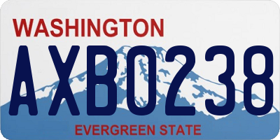 WA license plate AXB0238