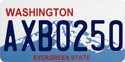 WA license plate AXB0250