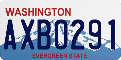 WA license plate AXB0291