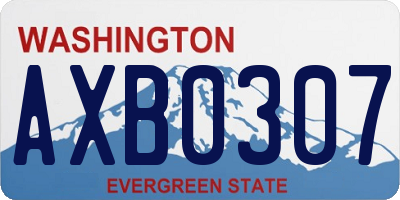 WA license plate AXB0307