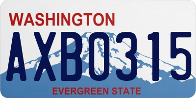 WA license plate AXB0315