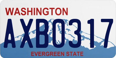 WA license plate AXB0317