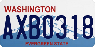 WA license plate AXB0318