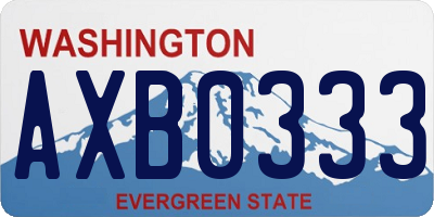 WA license plate AXB0333