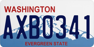 WA license plate AXB0341