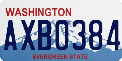 WA license plate AXB0384
