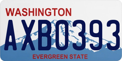 WA license plate AXB0393