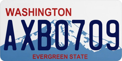 WA license plate AXB0709