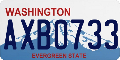 WA license plate AXB0733