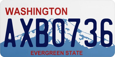 WA license plate AXB0736