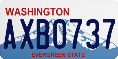 WA license plate AXB0737