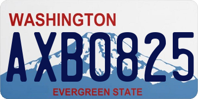WA license plate AXB0825