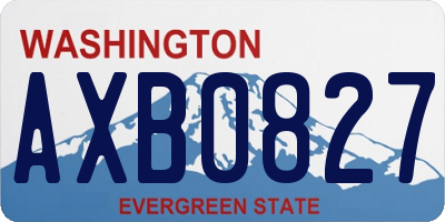 WA license plate AXB0827