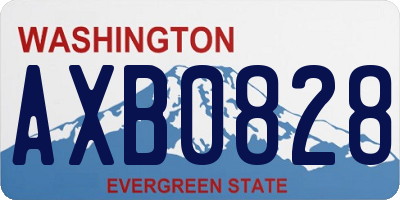 WA license plate AXB0828