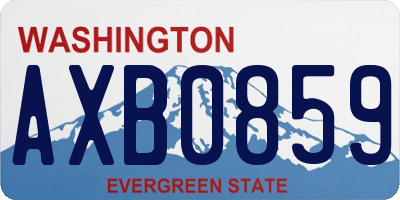 WA license plate AXB0859