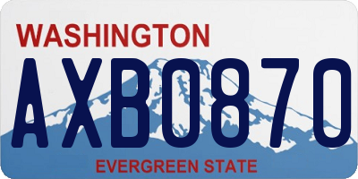WA license plate AXB0870