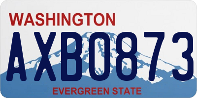 WA license plate AXB0873