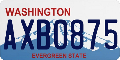 WA license plate AXB0875